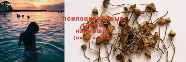 MESCALINE Бородино