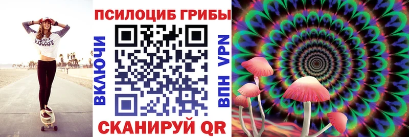 Псилоцибиновые грибы Magic Shrooms  продажа наркотиков  дарк нет наркотические препараты  Новошахтинск 